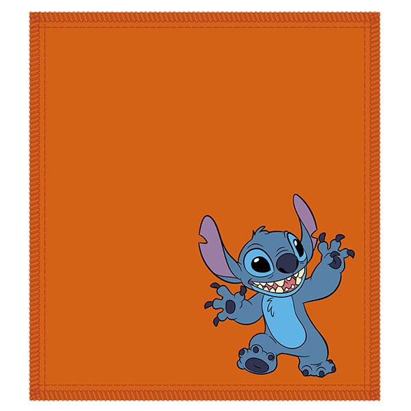 Stitch Shammy